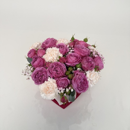 Композиция из гвоздик №769862