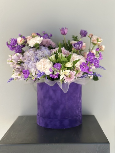 Композиция №771934